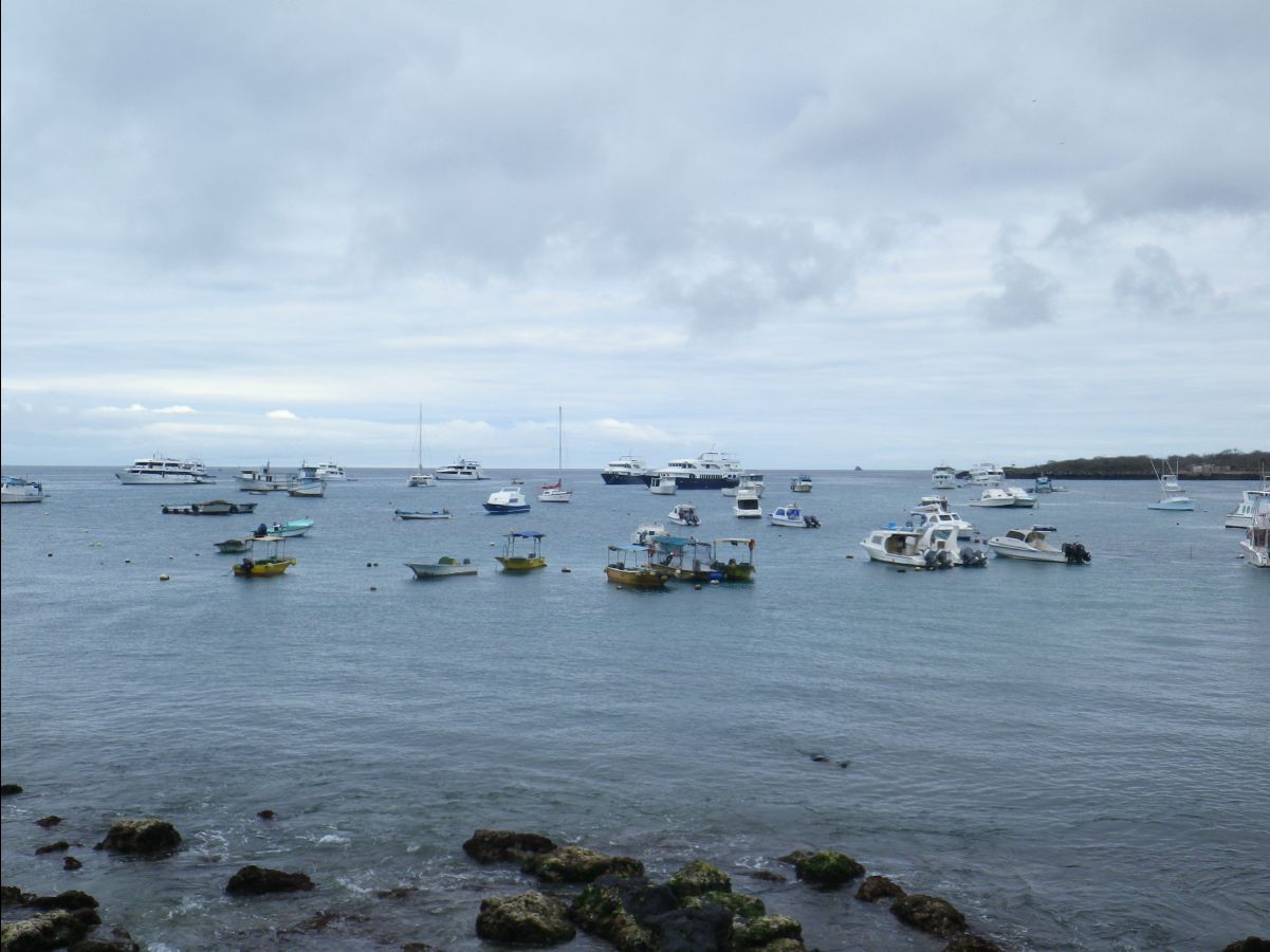 Galapagos Islands01